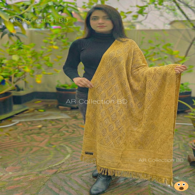 Kashmiri Kushikata Shawl 100% Pure