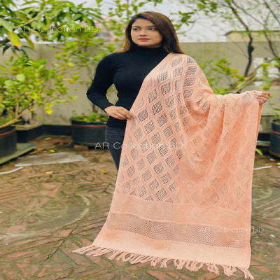 Kashmiri Kushikata Shawl 100% Pure